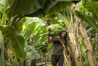 Alanya Belediyesi 16'Nci Uluslararasi Fotograf Yarismasi Sonuçlandi