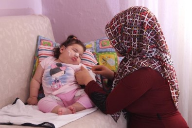 Elif Su'nun Ailesi, Sorusturma Izni Talebini Tekrarladi