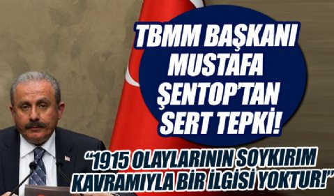 TBMM Başkanı Mustafa Şentop: 1915 olaylarının 'soykırım' kavramıyla uzaktan yakından bir ilgisi yoktur