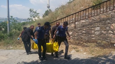 Kocaeli'de Ormanlik Alanda Çocuk Cesedi Bulundu