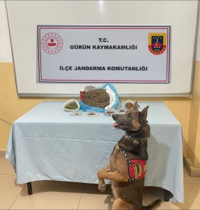 Narkotik Köpegi Uyusturucu Tacirlerine Göz Açtirmiyor