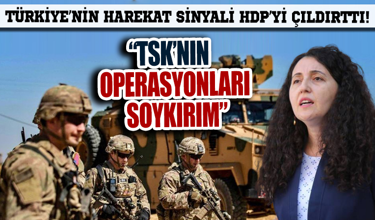 Türkiye'nin harekat sinyali HDP'li Ebru Gübay'ı çıldırttı!