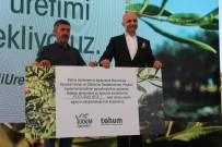 Yudum Egemden Ve Tohum Dernegi, Yabani Zeytin Agaçlarini Ekonomiye Kazandiriyor