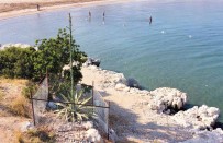 50 Yil Sonra 4,5 Metreye Ulasan Çiçek Koruma Altina Alindi