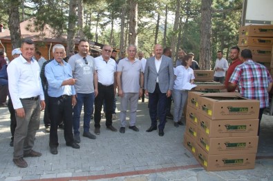 Kuyucak'ta Üreticilere Binlerce Domates Fidesi Dagitildi