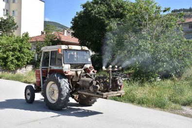 Iskilip'te Vektörel Mücadeleye Hiz Verildi