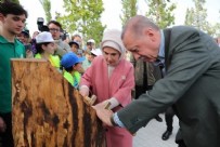 Atatürk Havalimanı Millet Bahçesi'nden tarihi kareler! 560 bin kişi katıldı