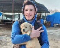 17 Yasindaki Genç Trafik Kazasinda Hayatini Kaybetti