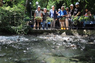 Alabalik Yetistiriciligini A'dan Z'ye Ögrendiler