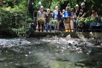 Alabalik Yetistiriciligini A'dan Z'ye Ögrendiler