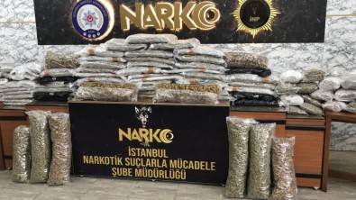 Istanbul'da Uyusturucu Operasyonlari Açiklamasi 14 Gözalti