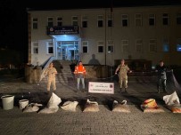 Kaçak Balik Avlayan Sahsa 2 Bin 525 TL Para Cezasi