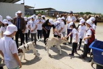 'Lider Çocuk Tarim Kampi' Yapildi