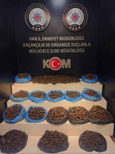 Van'da 97,5 Kilogram Kaçak Trüf Mantari Ele Geçirildi