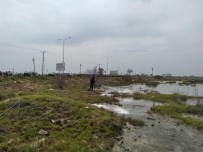 Hasere Ile Mücadele Araliksiz Devam Ediyor