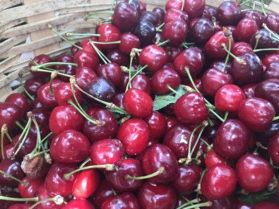 Kirklareli'nde Kiraz 25 Liradan Tezgaha Çikti