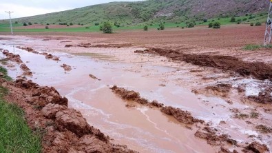 Sivas'ta Etkili Olan Dolu Tarim Arazilerine Zarar Verdi