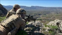 Pençe-Kaplan bölgesinde PKK'ya operasyon!