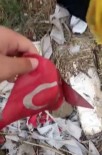 Duyarli Vatandaslar Bos Araziye Atilan Türk Bayraklarini Böyle Topladi
