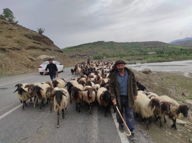 Havalar Isindi, Göçerlerin Zorlu Yolculugu Basladi