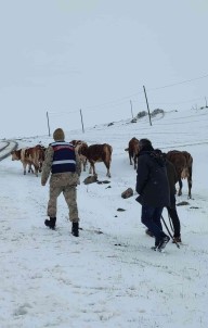 Ardahan'da Hayvan Otlatirken Kaybolan Yasli Kadin Bulundu