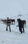 Ardahan'da Hayvan Otlatirken Kaybolan Yasli Kadin Bulundu Haberi