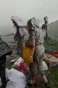 Daga Pancar Toplamaya Giden Köylüler Tipiye Yakalandi