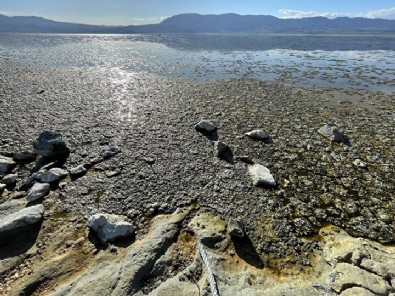 Burdur Gölü'nde endişelendiren görüntü: Suyun rengi değişti