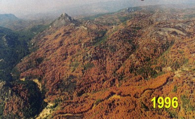 26 Yil Önce Yandi, Yesil Ile Mavi Tekrar Bulustu