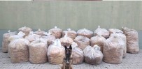 Bingöl'de 850 Kilo Yaprak Tütünü Ele Geçirildi Haberi