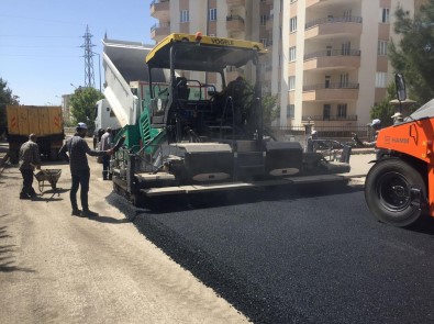 Yeni Mahallede Asfalt Çalismasi Basladi