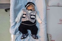 810 Gram Dogan 'Cesur' Bebek