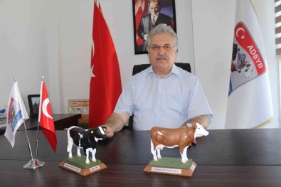 Baskan Güngör Açiklamasi 'Süt Tüketiminde Halen Gerideyiz'