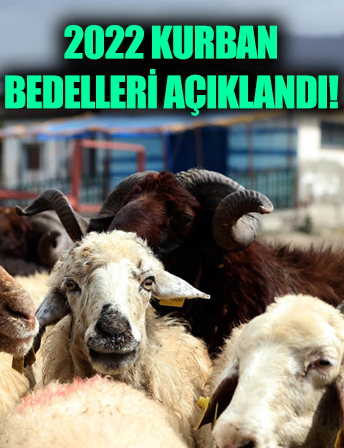 Diyanet vekalet yoluyla kurban kesim bedelini açıkladı!