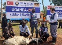 Ihlas Vakfi Kurban Hisse Vekâlet Bedellerini Açikladi