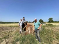 Sulama Vanalari Çalindi, 8 Mahallede 10 Bine Yakin Tarim Arazisi Ekilemedi