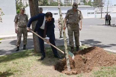 Vali Ayhan Mehmetçik Ile Birlikte Agaç Dikti