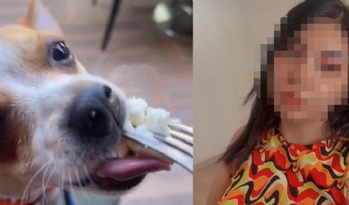 Yine Tiktok skandalı! Lüks restoranda köpeğe çatalla yemek yedirdi!