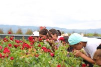 Büyüksehirin Tarim Projeleri Genç Kusaga Yön Veriyor