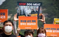 Güney Kore First Lady'si Kim, Ülkedeki Köpek Eti Tüketimini Elestirdi