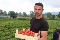 Hobi Olarak Üretmeye Basladi, Simdi Talebe Yetisemiyor