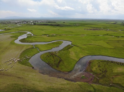 Kars'tan Doguyor Hazar Denizi'ne Dökülüyor