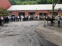 Kozlu'da Yeni Panoda Üretime Baslandi