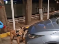 Sakarya'da 2 Ilçede Uyusturucu Operasyonu Açiklamasi 5 Gözalti