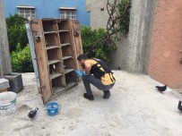 Torbacilarin Evine Koç Baslariyla Kapilar Kirilip Girildi