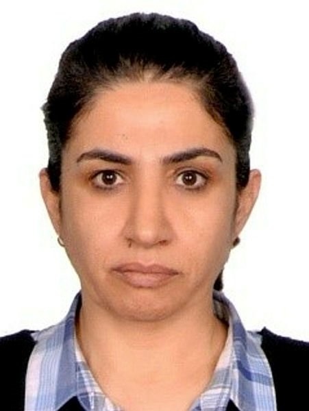 İçişleri'nin raporu ortaya çıkardı! AB fonları Kandil'e işte böyle aktarılmış...