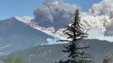 Arizona'da Orman Yangini Açiklamasi 2 Bin 500 Ev Tahliye Edildi