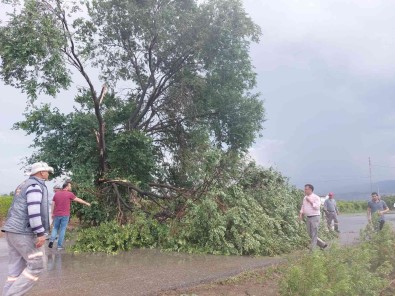Alasehir'i Firtina Ve Dolu Vurdu