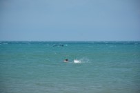 Uçurtma Sörfü Yapmak Isterken Akintiya Kapildi Açiklamasi 500 Metre Sürüklendi