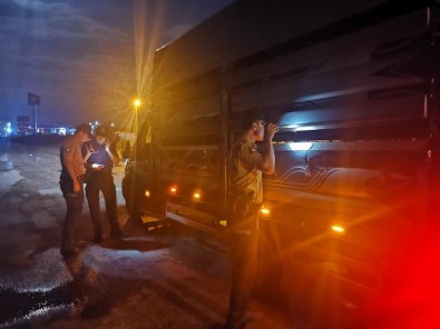 Bangladeslileri Yurt Disina Kaçirmaya Çalisan 5 Organizatör Tutuklandi